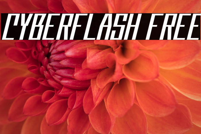 Cyberflash FREE Example 2