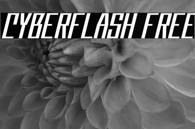 Cyberflash FREE Font examples