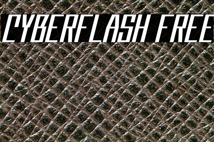 Cyberflash FREE Example 3