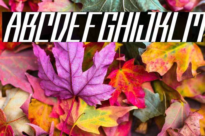 CyberflashFREE Example 1