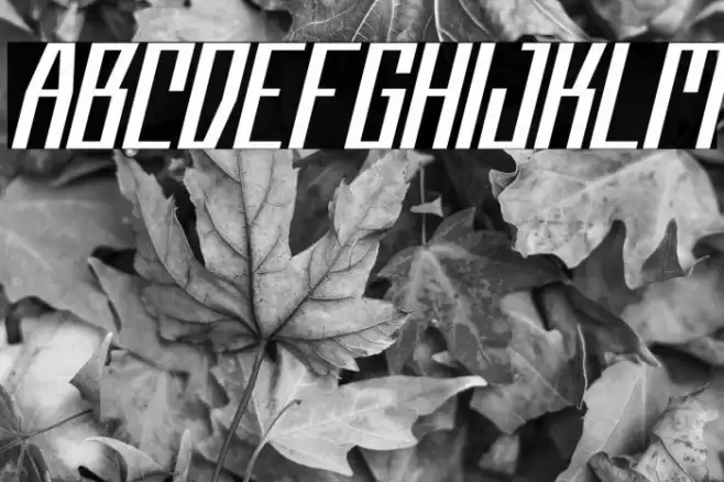 CyberflashFREE Font examples