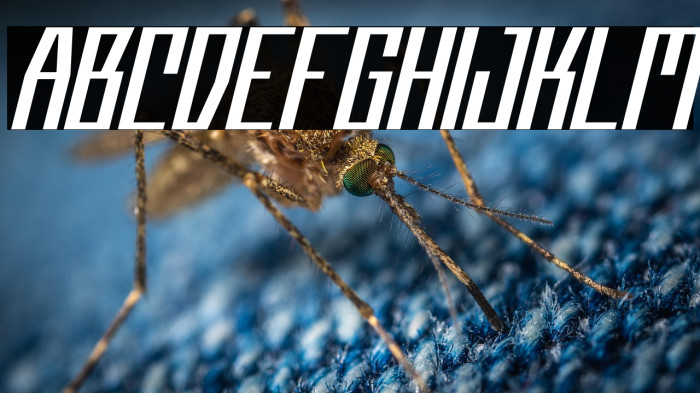 CyberflashFREE Example 3