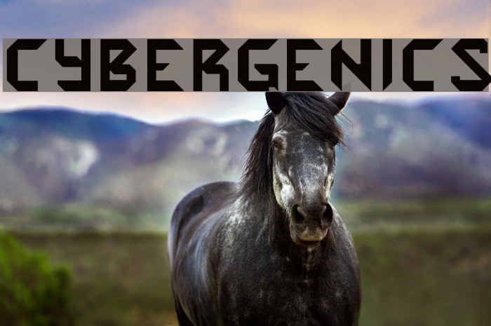 Cybergenics Font examples