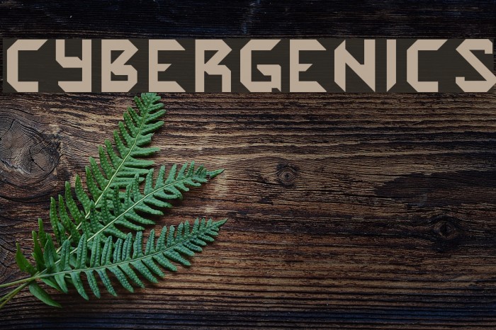 Cybergenics Font examples