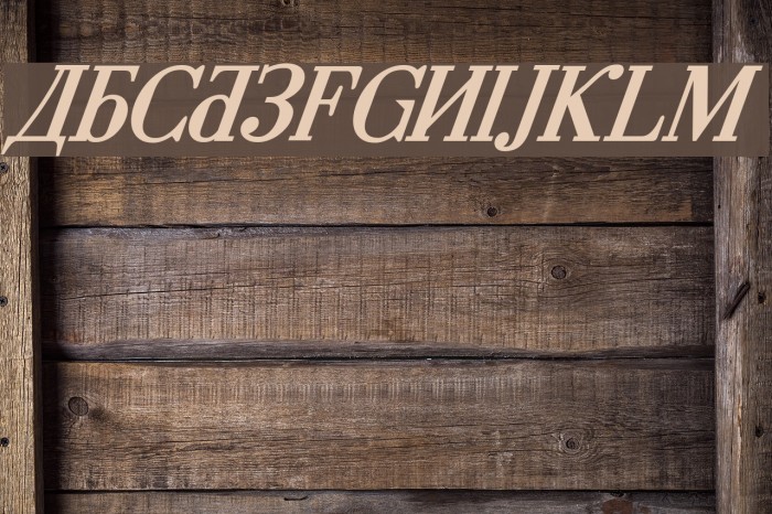 Cyberia Bold Italic Fuentes examples