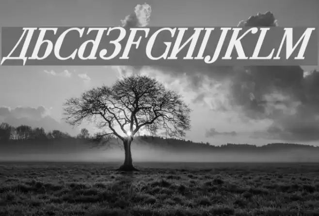 Cyberia Bold Italic Caratteri examples
