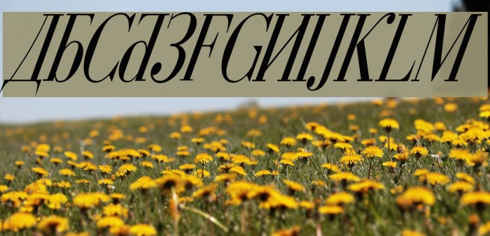 Cyberia Condensed Italic Fuentes examples