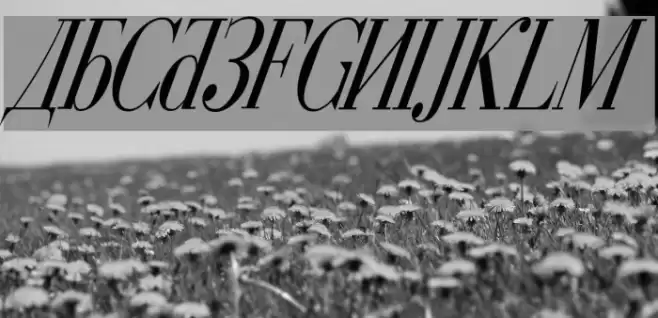 Cyberia Condensed Italic Fuentes examples