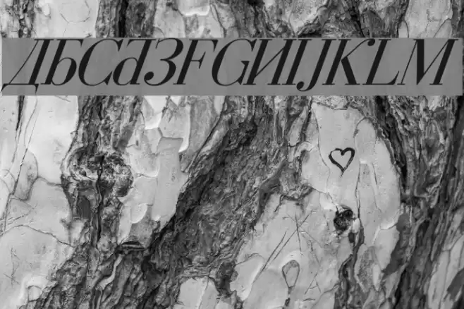 Cyberia Italic Font examples