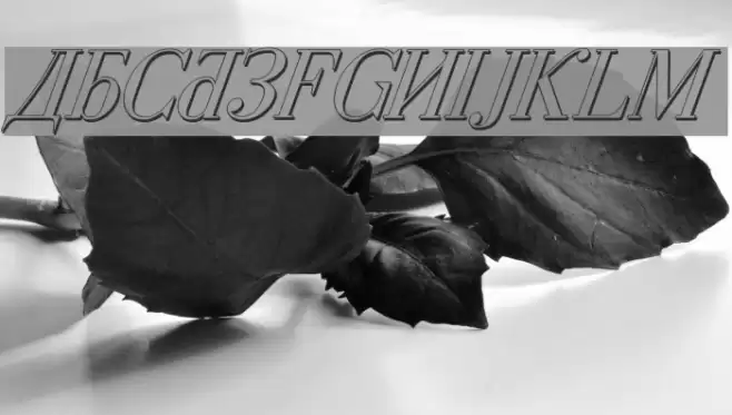 Cyberia Shadow Italic Font examples