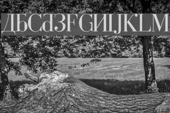 Cyberia Font examples