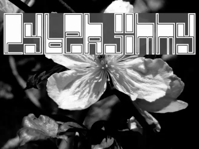 Cyberjimmy Font examples