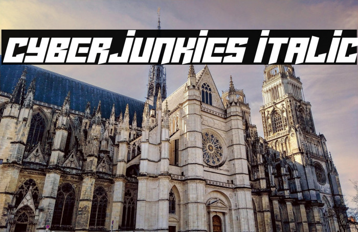 Cyberjunkies Italic Example 1
