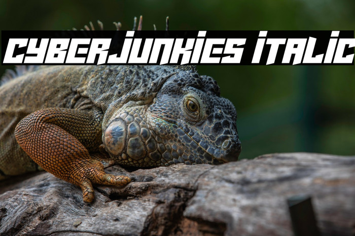 Cyberjunkies Italic Example 3