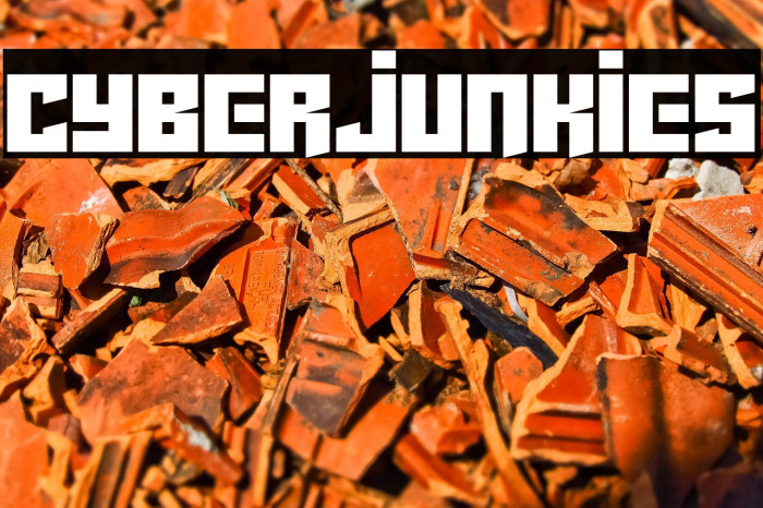 Cyberjunkies Example 1