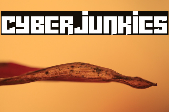 Cyberjunkies Example 2