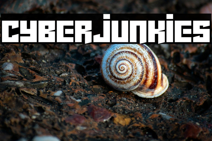 Cyberjunkies Example 3