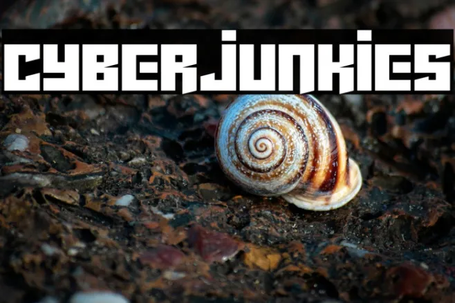 Cyberjunkies Example 3