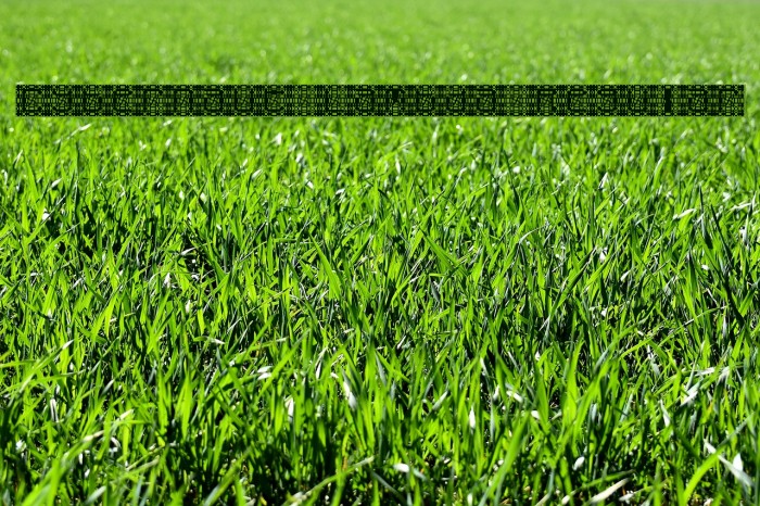 Cybernaut Lambda Regular Example 1