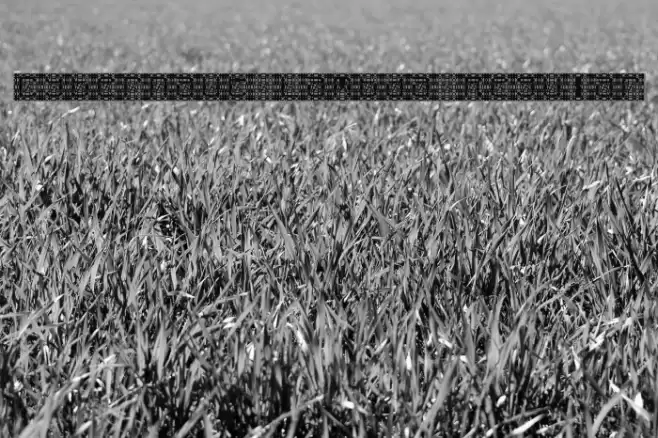 Cybernaut Lambda Regular Font examples