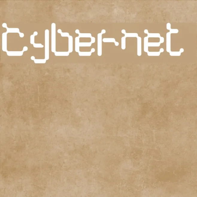 Cybernet  Example 2