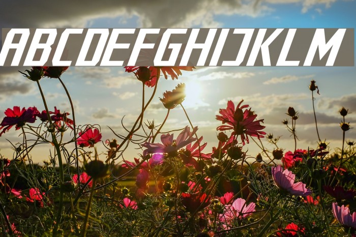 Cybernetyka Italic Font examples
