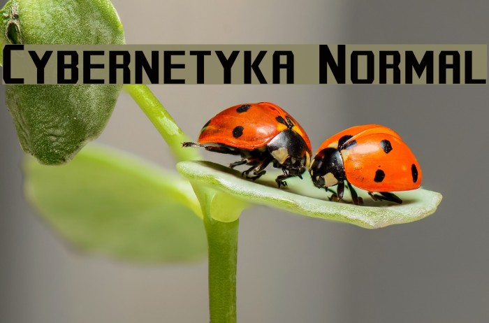 Cybernetyka Normal Font examples