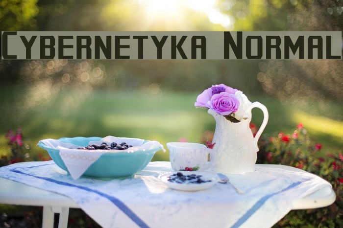 Cybernetyka Normal Font examples