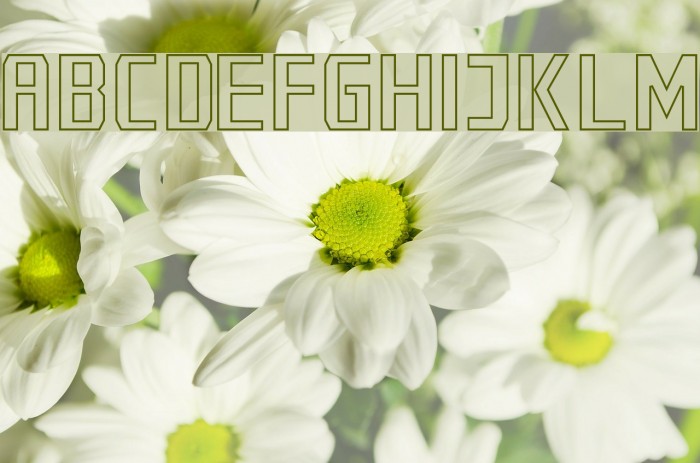 Cybernetyka Outline Font examples