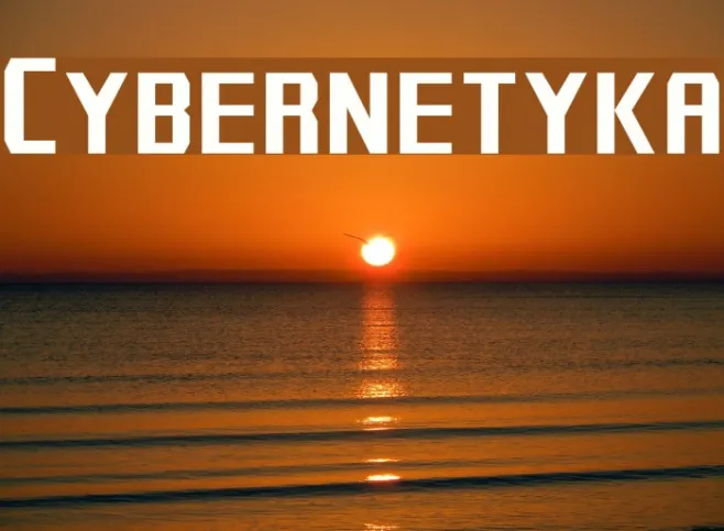 Cybernetyka Example 1
