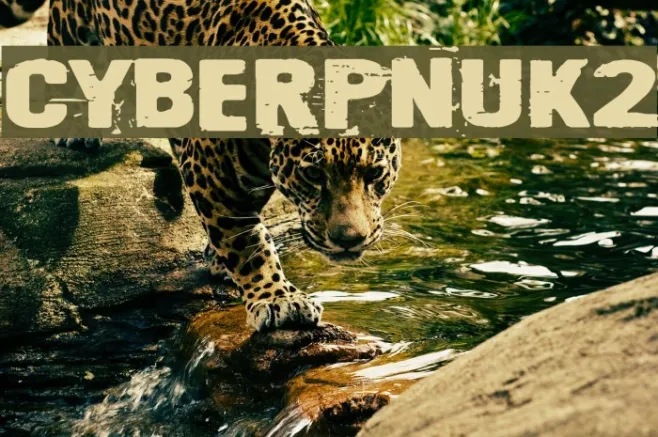 Cyberpnuk2 Example 1