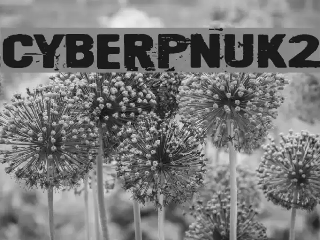 Cyberpnuk2 Font examples