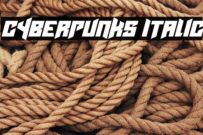 Cyberpunks Italic Example 1