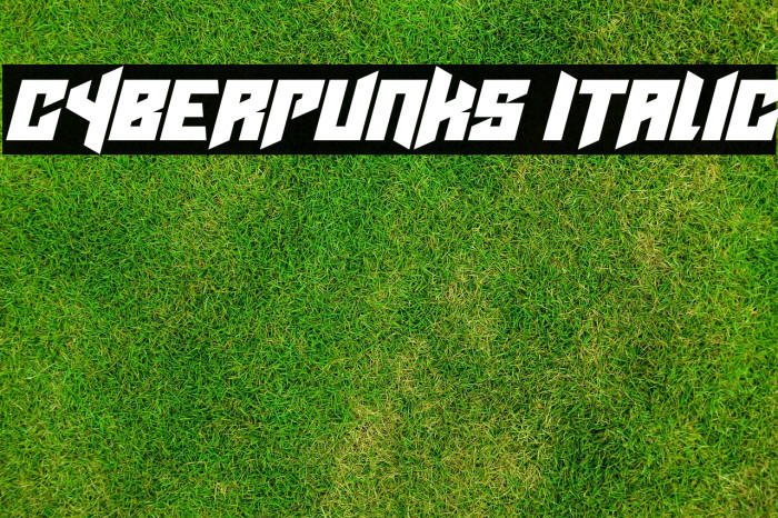 Cyberpunks Italic Example 2