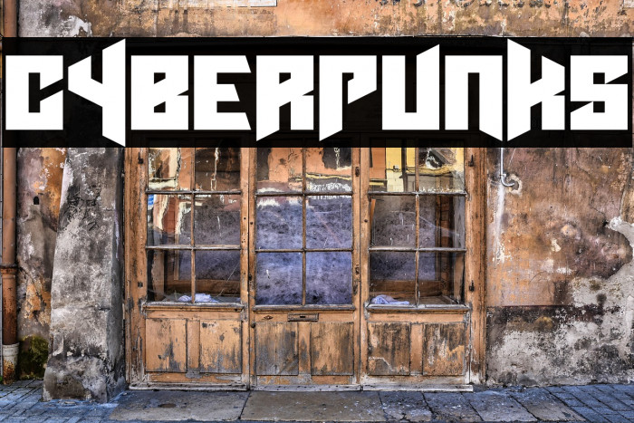 Cyberpunks Example 1
