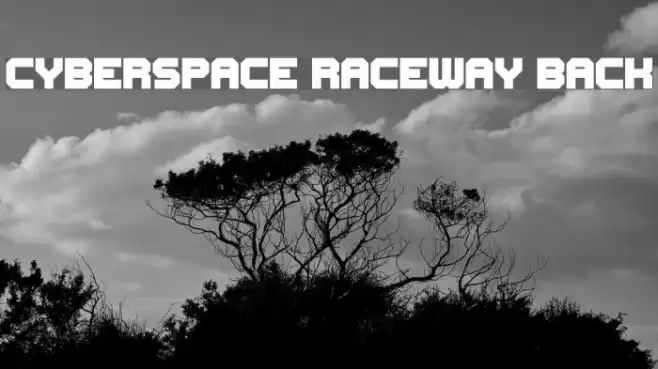 Cyberspace Raceway Back Font examples