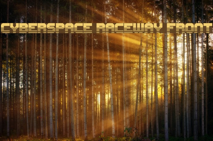 Cyberspace Raceway Front Font examples