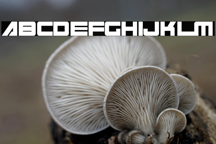 Cyberspace Example 1