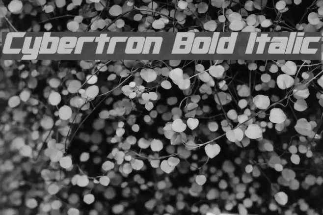 Cybertron Bold Italic Font examples