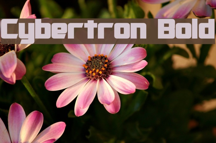 Cybertron Bold Font examples