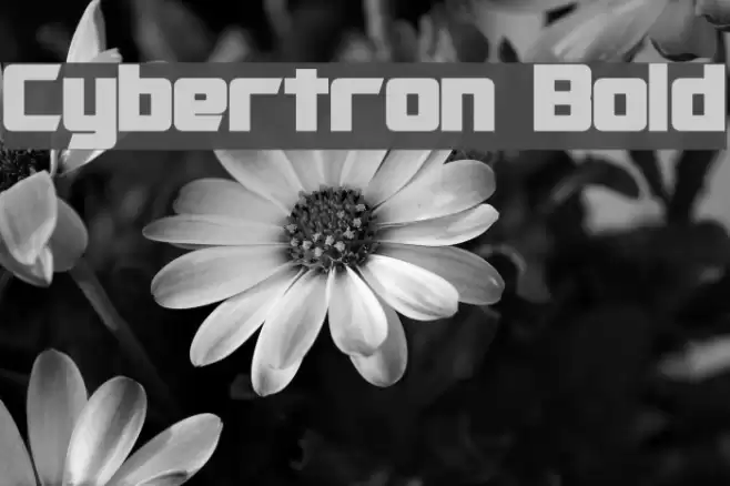 Cybertron Bold خط examples