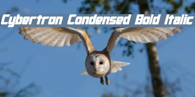 Cybertron Condensed Bold Italic Example 1