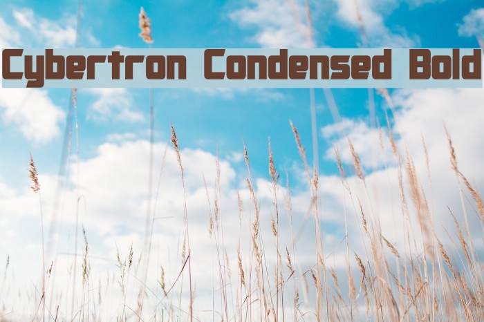 Cybertron Condensed Bold Font examples