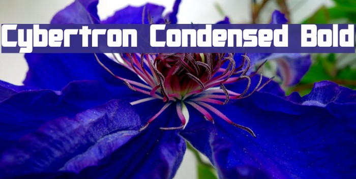 Cybertron Condensed Bold Font examples