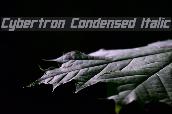 Cybertron Condensed Italic Font examples