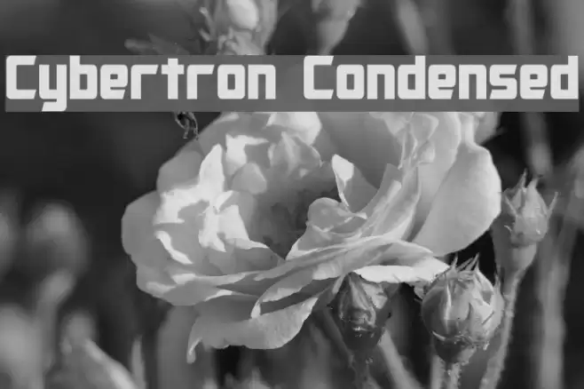 Cybertron Condensed Font examples