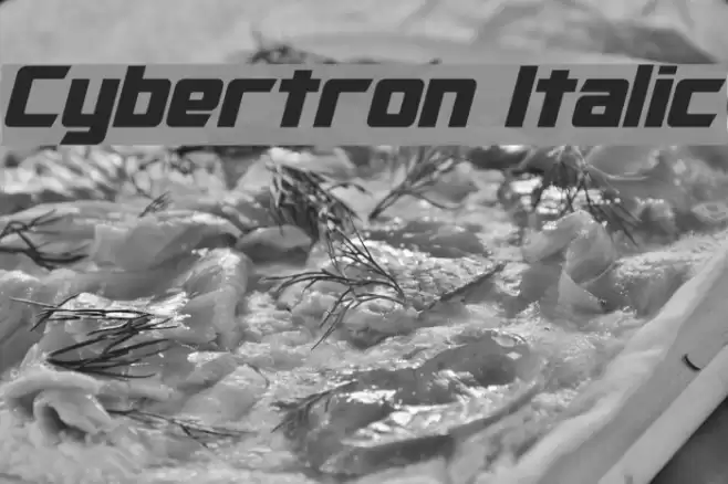 Cybertron Italic Font examples