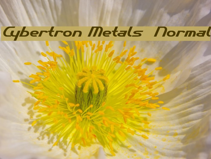 Cybertron Metals Normal Font examples