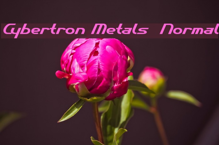 Cybertron Metals Normal Font examples