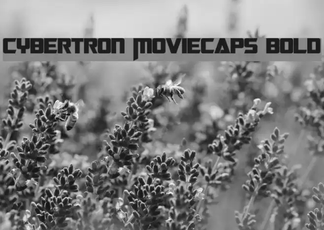Cybertron Moviecaps Bold Font examples